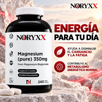 NORYXX Magnesio Puro 350 mg | Bisglicinato | 240 Cápsulas Veganas