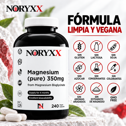 NORYXX Magnesio Puro 350 mg | Bisglicinato | 240 Cápsulas Veganas