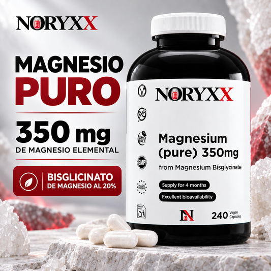 NORYXX Magnesio Puro 350 mg | Bisglicinato | 240 Cápsulas Veganas